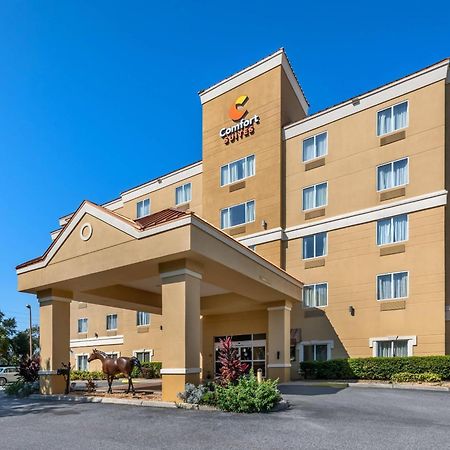 Comfort Suites Ocala North Dış mekan fotoğraf