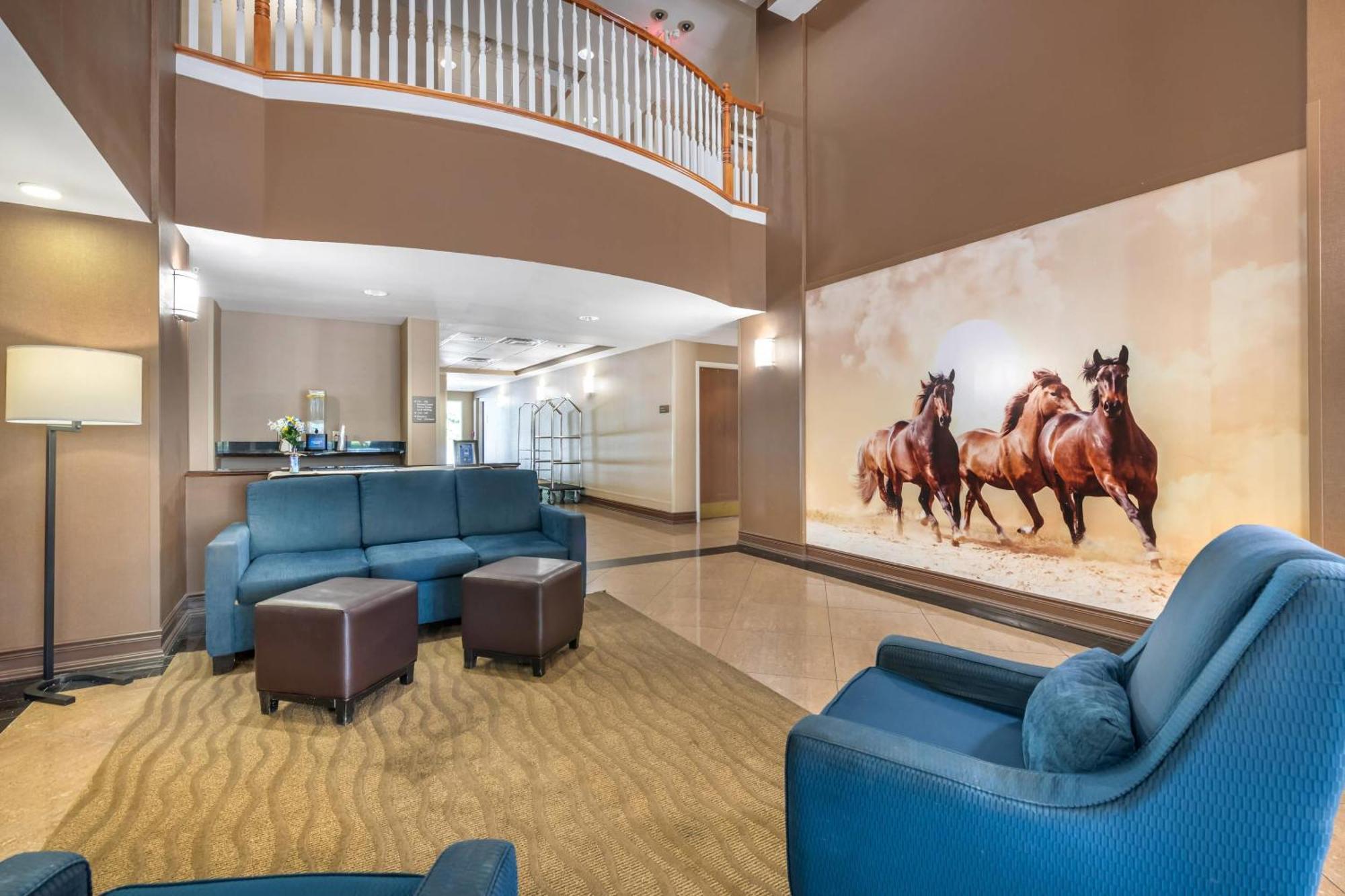 Comfort Suites Ocala North Dış mekan fotoğraf